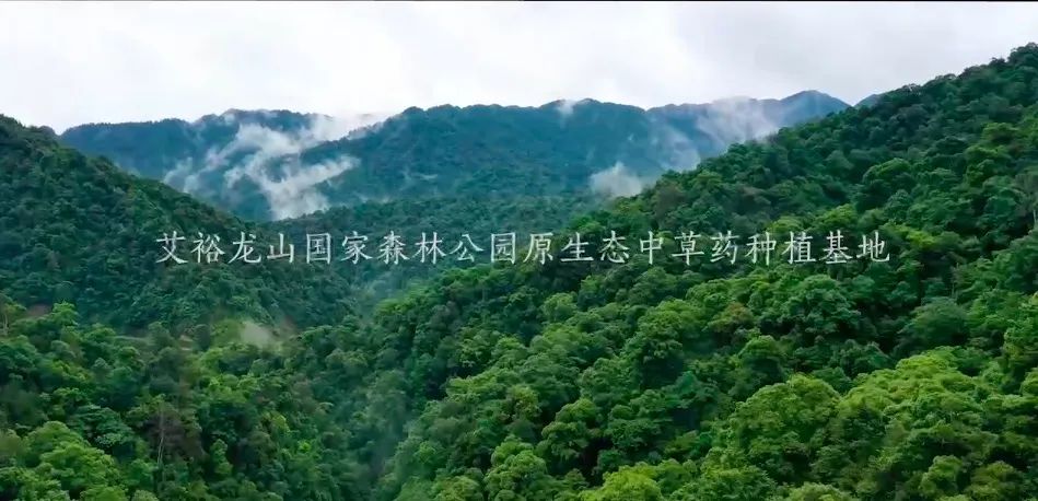 第21屆cbme孕嬰童展艾裕載譽而歸 第21屆cbme孕嬰童展艾裕載譽而歸