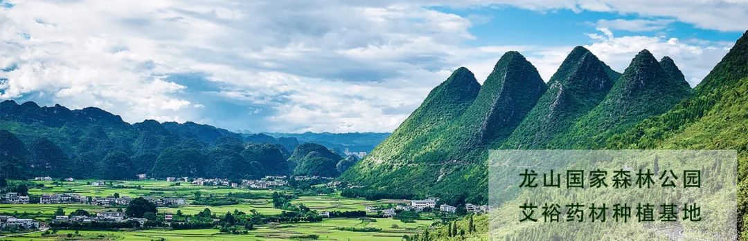 優(yōu)選品牌 值得信賴 優(yōu)選品牌 值得信賴