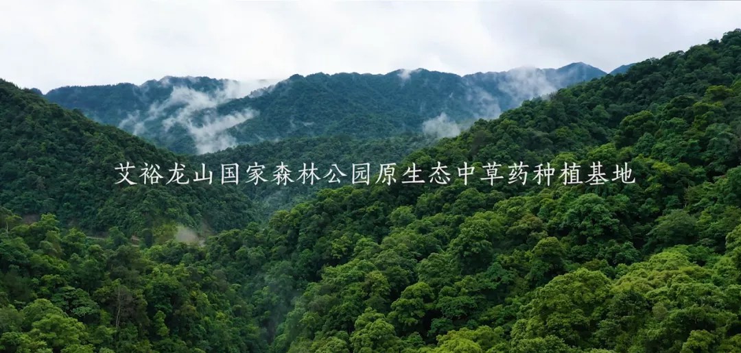 “裕我同行”丨選對(duì)產(chǎn)品,助攻保護(hù)力UP! “裕我同行”丨選對(duì)產(chǎn)品,助攻保護(hù)力UP!