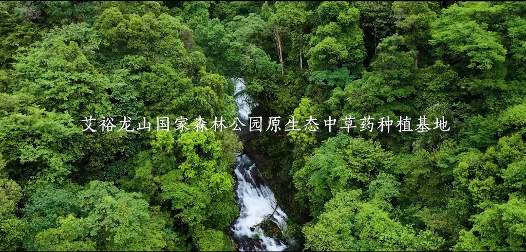 “裕我同行”丨選對(duì)產(chǎn)品,助攻保護(hù)力UP! “裕我同行”丨選對(duì)產(chǎn)品,助攻保護(hù)力UP!