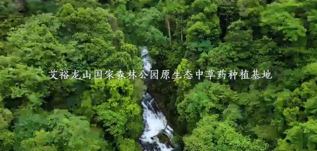 微信圖片_20220526145920.jpg 微信圖片_20220526145920.jpg