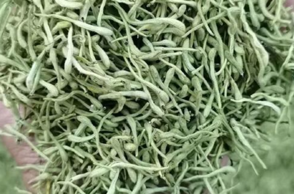 QQ20241125-091254.png QQ20241125-091254.png