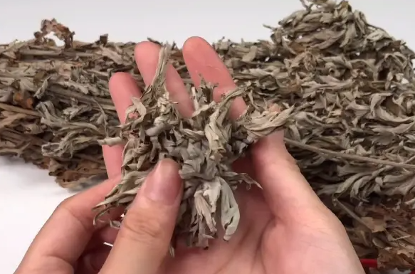 QQ20241104-140015.png QQ20241104-140015.png