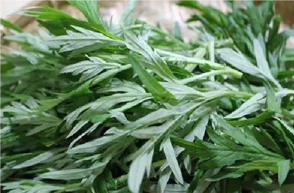 QQ20240826-073931.png QQ20240826-073931.png