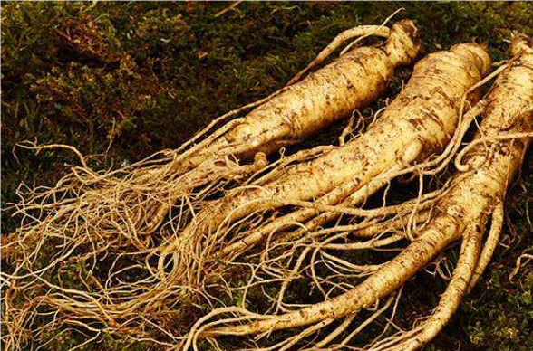 QQ20240819-144933.png QQ20240819-144933.png