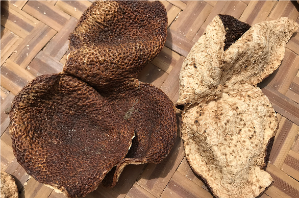 QQ20240903-142104.png QQ20240903-142104.png