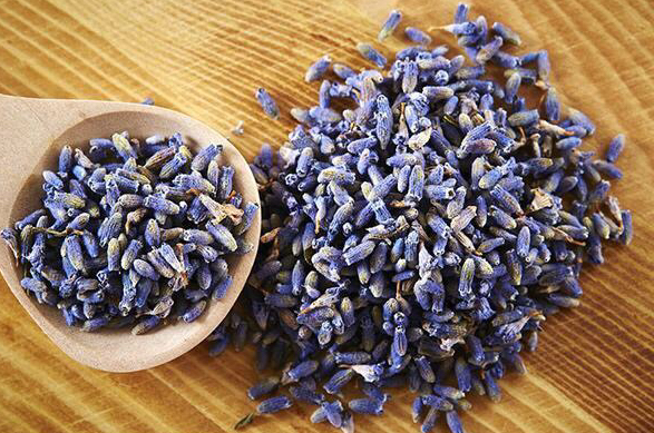 QQ20240924-130555.png QQ20240924-130555.png