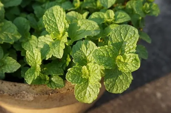 QQ20240924-130630.png QQ20240924-130630.png