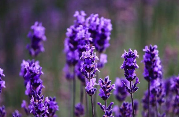 QQ20250112-142525.png QQ20250112-142525.png