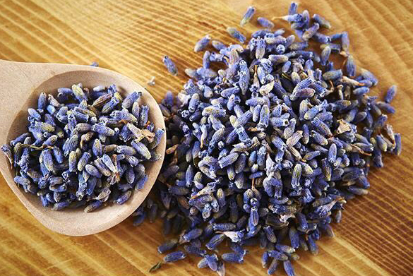 QQ20250110-093102.png QQ20250110-093102.png