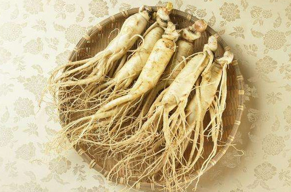 QQ20250109-094054.png QQ20250109-094054.png