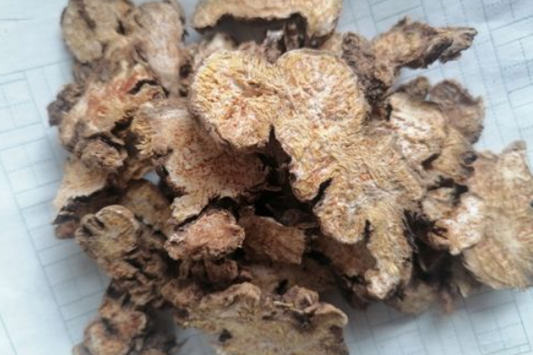 QQ20250210-100433.png QQ20250210-100433.png